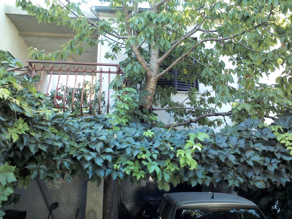 Apartment Artusi Pula Pokoj fotografie